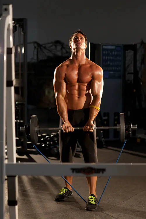 The Bicep Bungee Bonanza