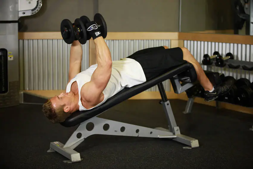 Inverted Wing Flapper (Decline Dumbbell Chest Opener)